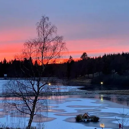 Ausblick Park