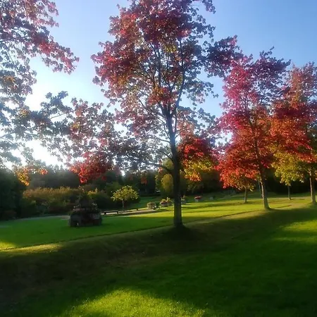 Ausblick Park *