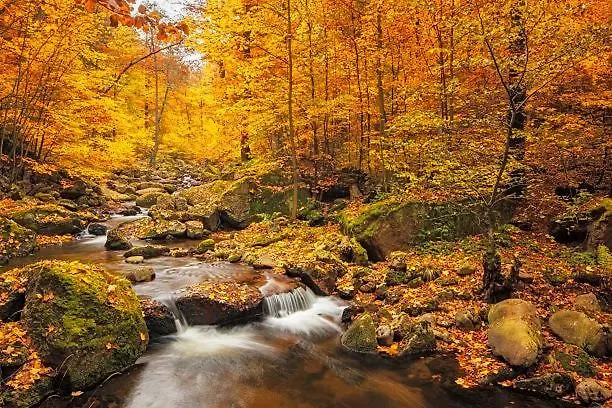 Apartment Ausblick Park Goslar